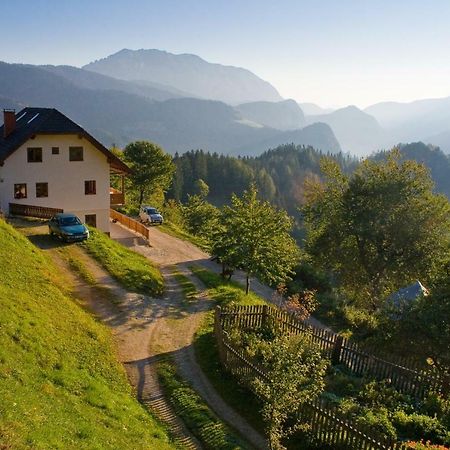 Villa Turisticna Kmetija Perk Solčava Exterior foto