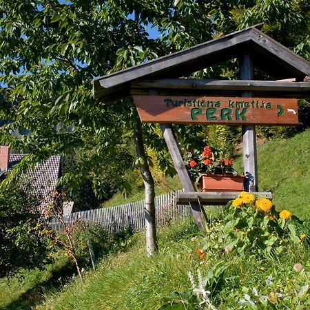 Villa Turisticna Kmetija Perk Solčava Exterior foto