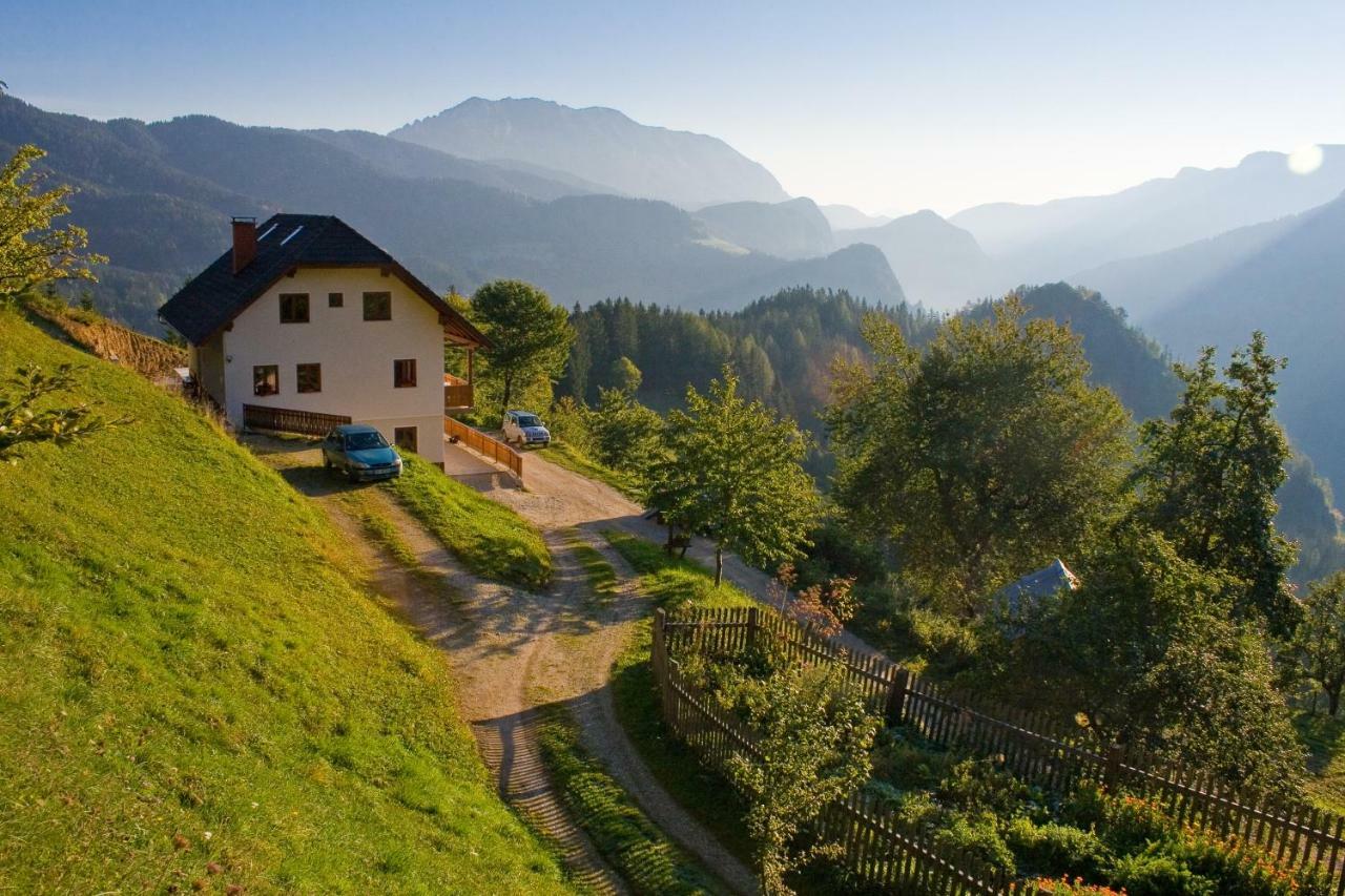 Villa Turisticna Kmetija Perk Solčava Exterior foto