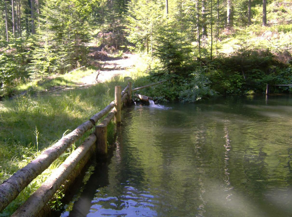 Villa Turisticna Kmetija Perk Solčava Exterior foto