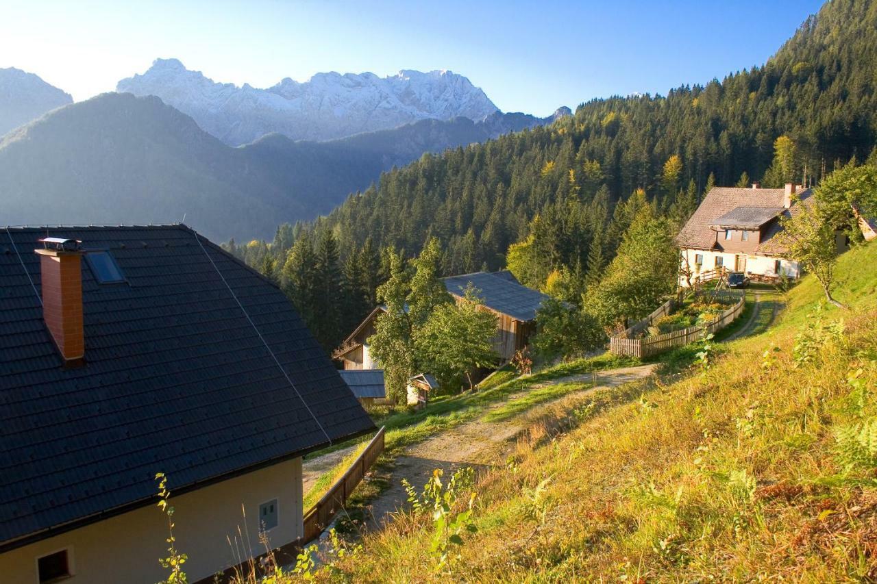 Villa Turisticna Kmetija Perk Solčava Exterior foto