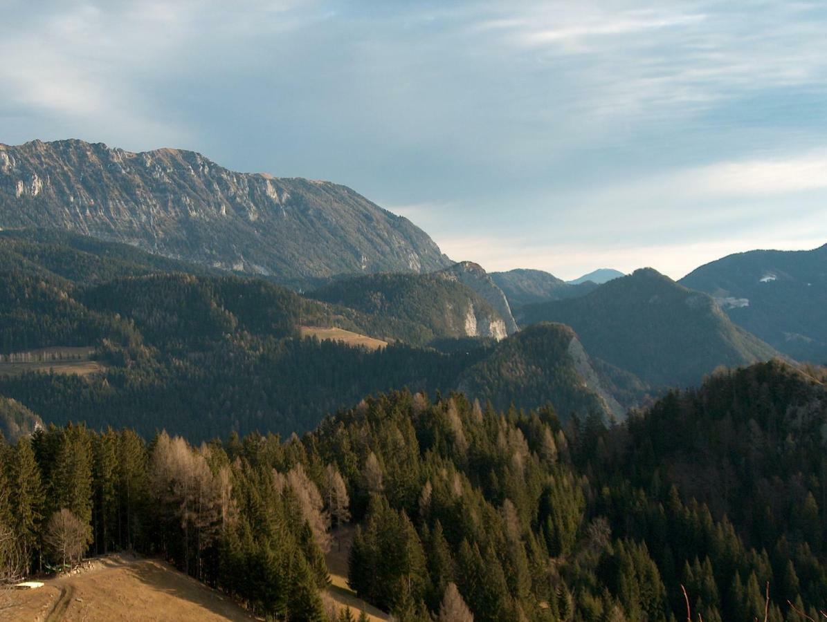 Villa Turisticna Kmetija Perk Solčava Exterior foto